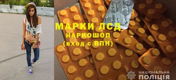 ПСИЛОЦИБИНОВЫЕ ГРИБЫ Алзамай