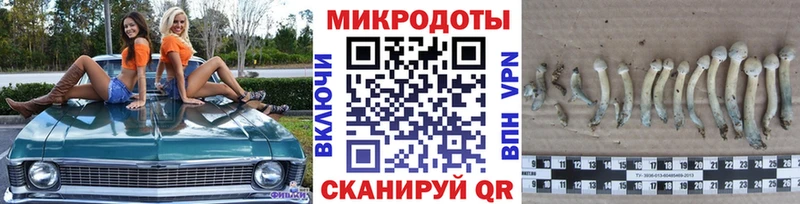 Галлюциногенные грибы Magic Shrooms Лесосибирск