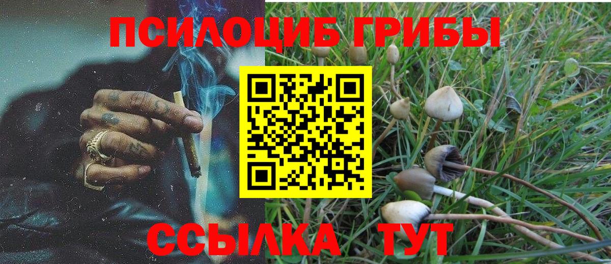 Лесосибирск  Псилоцибиновые грибы GOLDEN TEACHER  Вход с VPN 