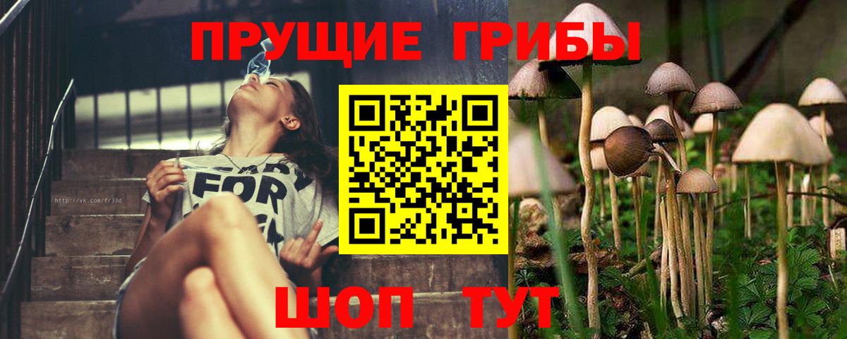Галлюциногенные грибы Cubensis Лесосибирск